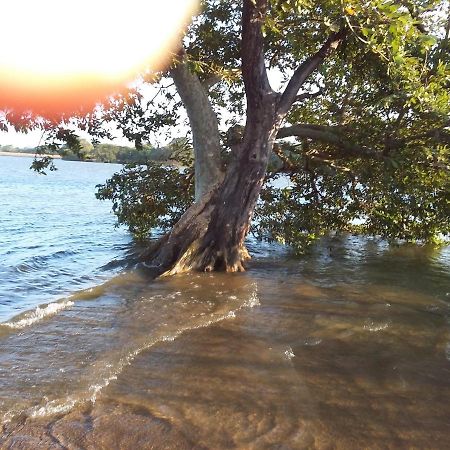 Niduwari Lake Homestay Dambulla Dış mekan fotoğraf