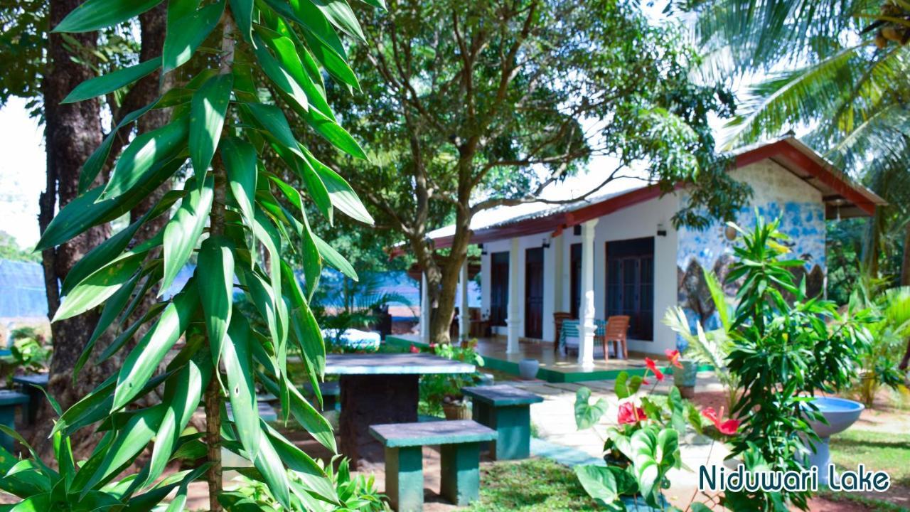 Niduwari Lake Homestay Dambulla Dış mekan fotoğraf