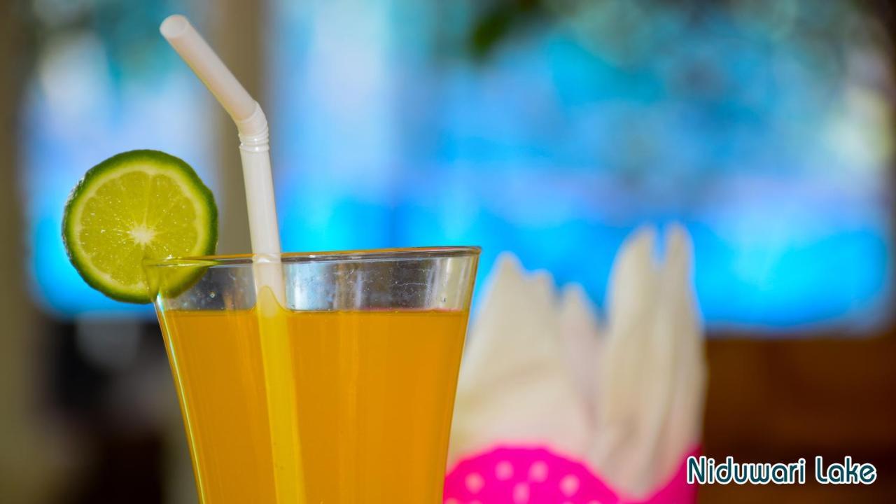 Niduwari Lake Homestay Dambulla Dış mekan fotoğraf