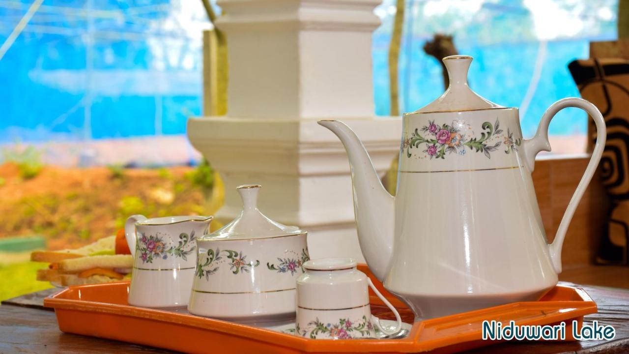 Niduwari Lake Homestay Dambulla Dış mekan fotoğraf