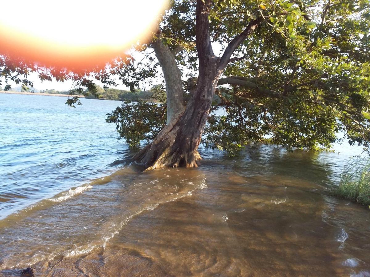 Niduwari Lake Homestay Dambulla Dış mekan fotoğraf